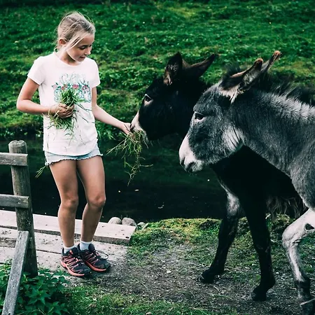 Stegerhof 顿内斯班瓦德