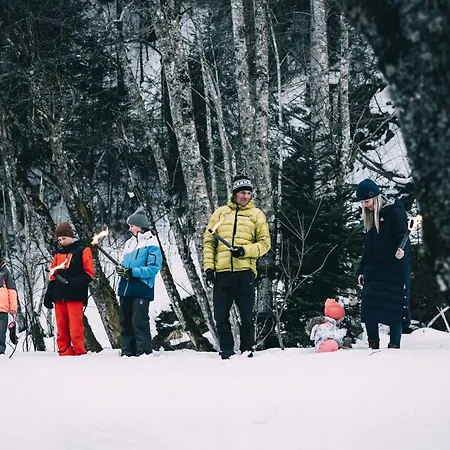 Stegerhof 4* 顿内斯班瓦德