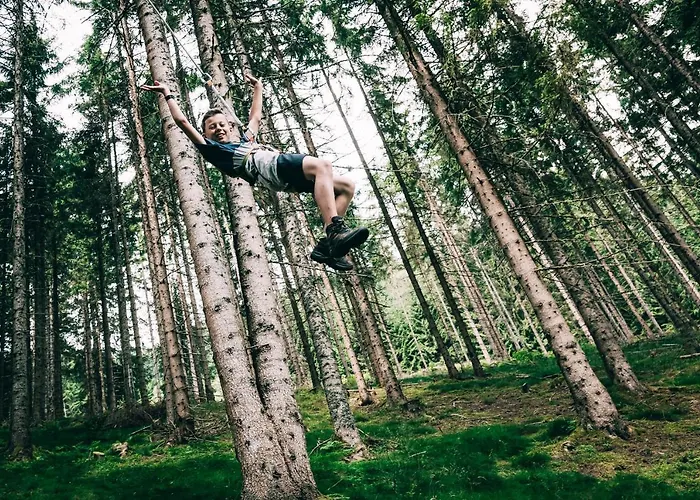 Hotel Stegerhof Donnersbachwald