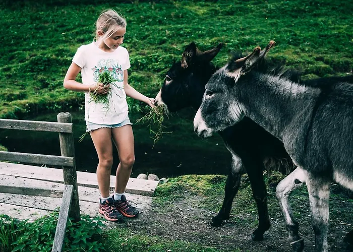 Stegerhof Donnersbachwald