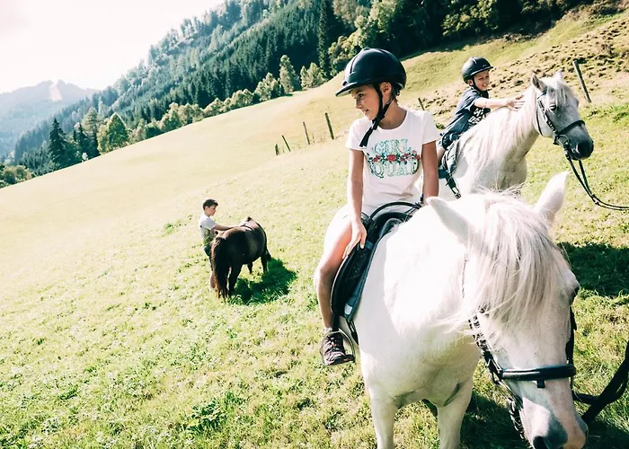 Stegerhof Ξενοδοχείο 4*