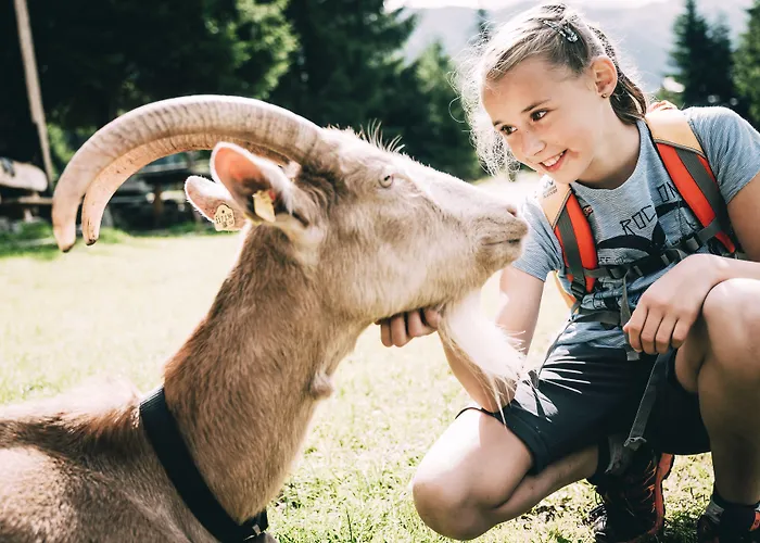 Stegerhof Ξενοδοχείο