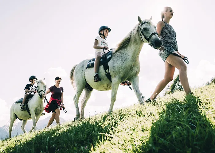 Hotel Stegerhof Donnersbachwald